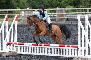 Class 2 -  Fences not above 2'